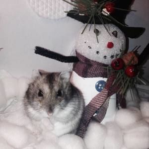 Meet your Posher, Gabriella