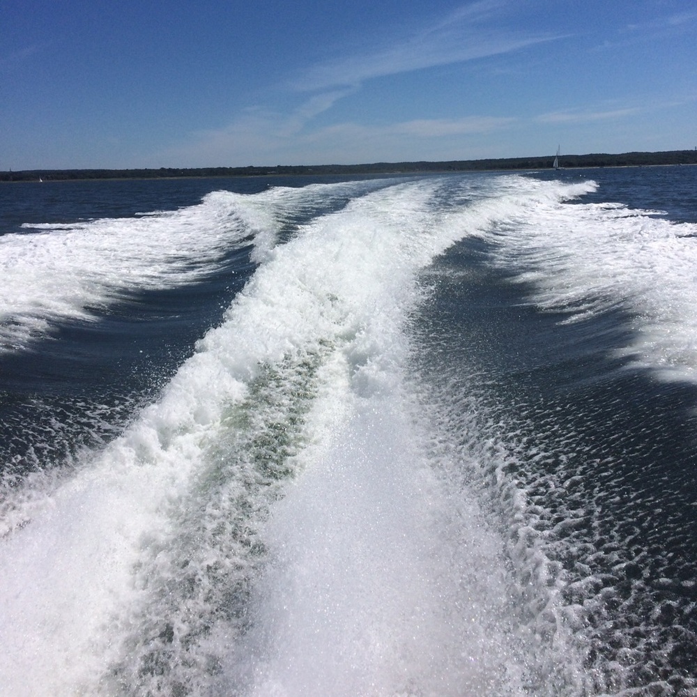 Meet your Posher, Owen