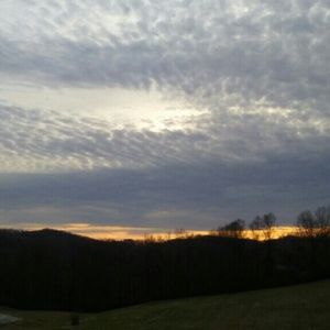 Meet your Posher, Jena