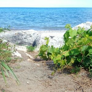 Meet your Posher, Wendy