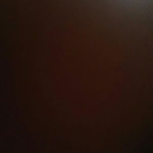 Meet your Posher, Monique