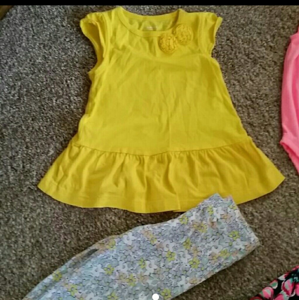 Carter's 18 month girl set