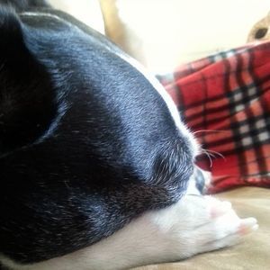 Meet your Posher, Tammy