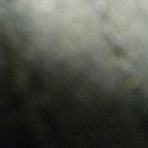 Meet your Posher, Tarsha