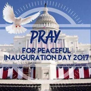 Meet your Posher, Irene