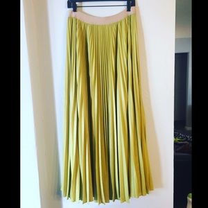 Dill pleated maxi skirt BCBG