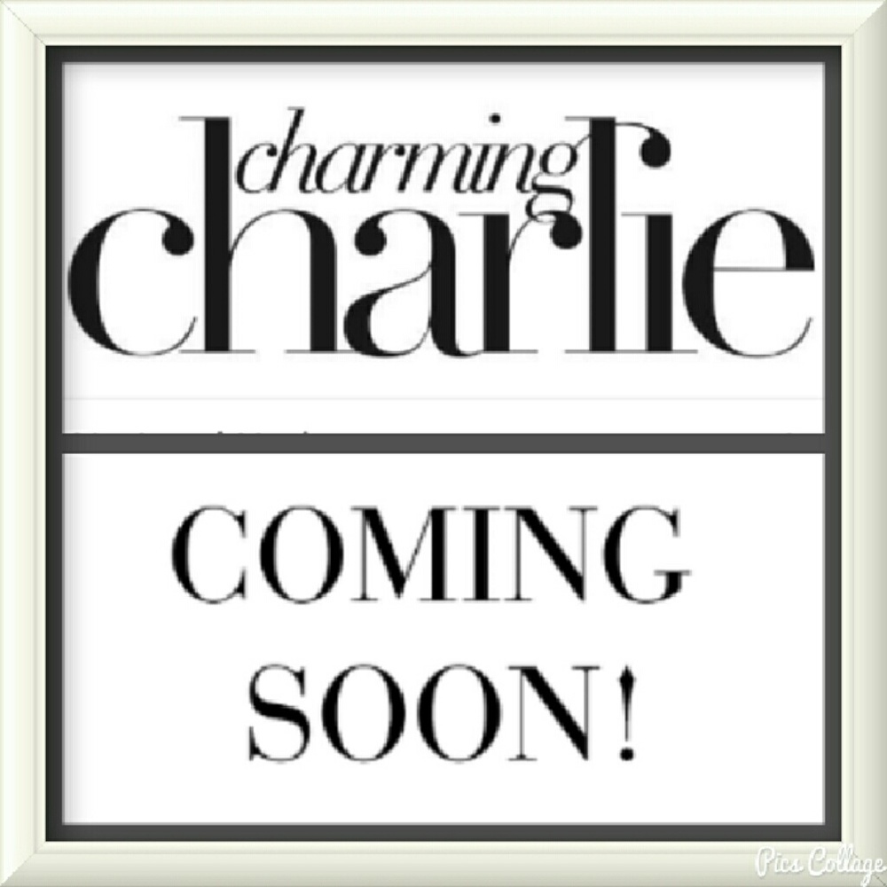 Charming Charlie bags