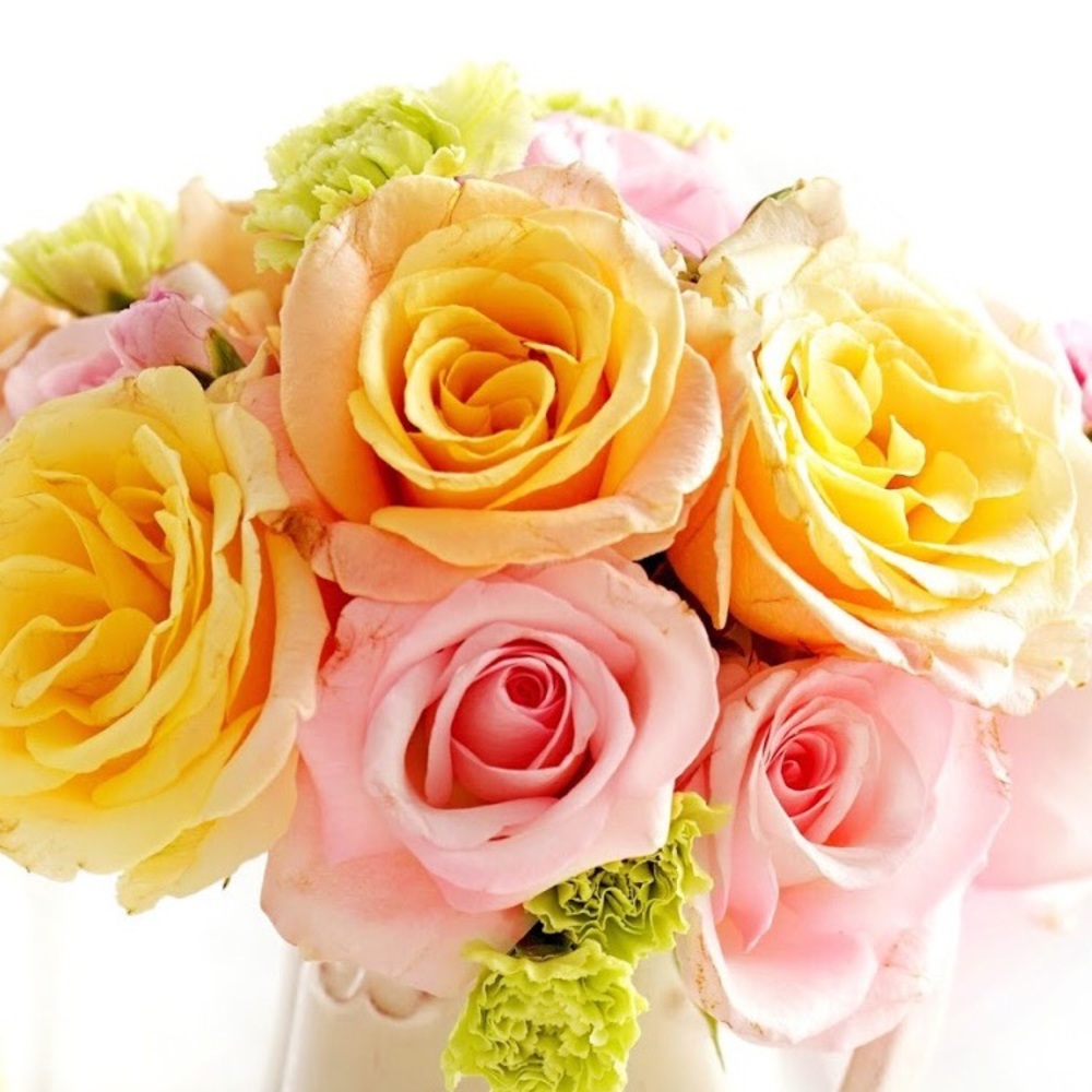 Meet your Posher, Evelyn