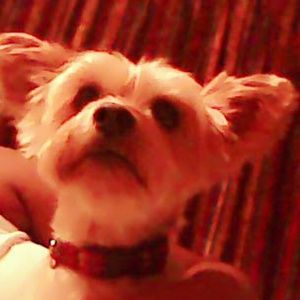 Meet your Posher, Tabatha