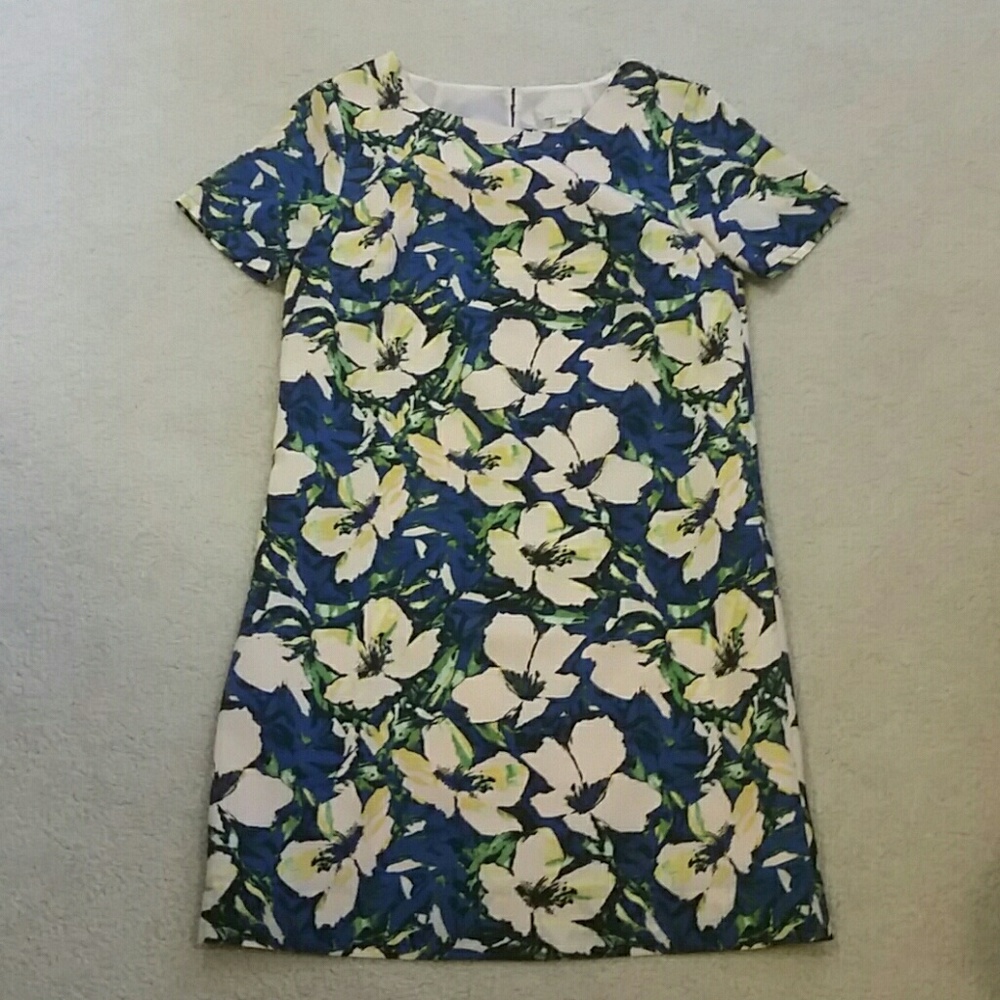 J Crew shift dress