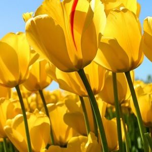 Meet your Posher, Katelyn