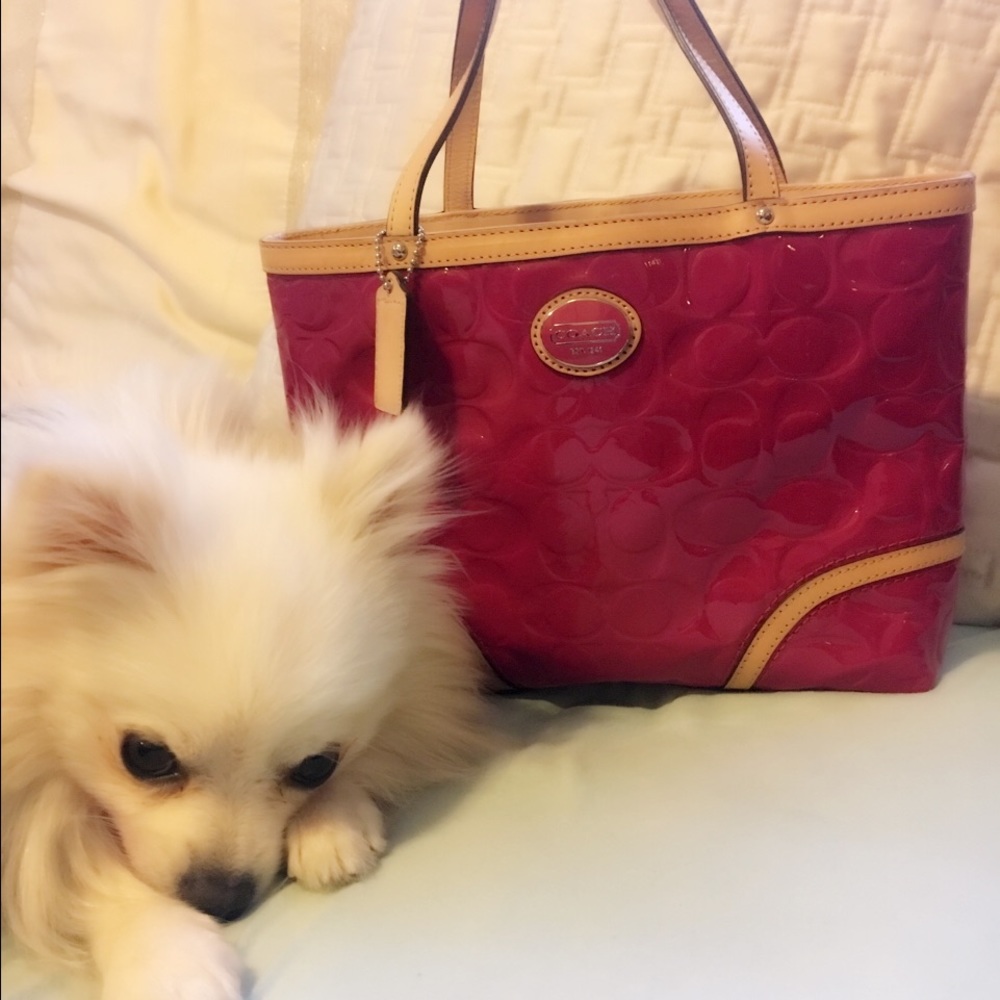 Pink/magenta patent leather Coach purse