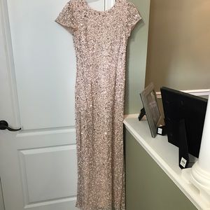 Adrianna Papell Blush Sequin dress