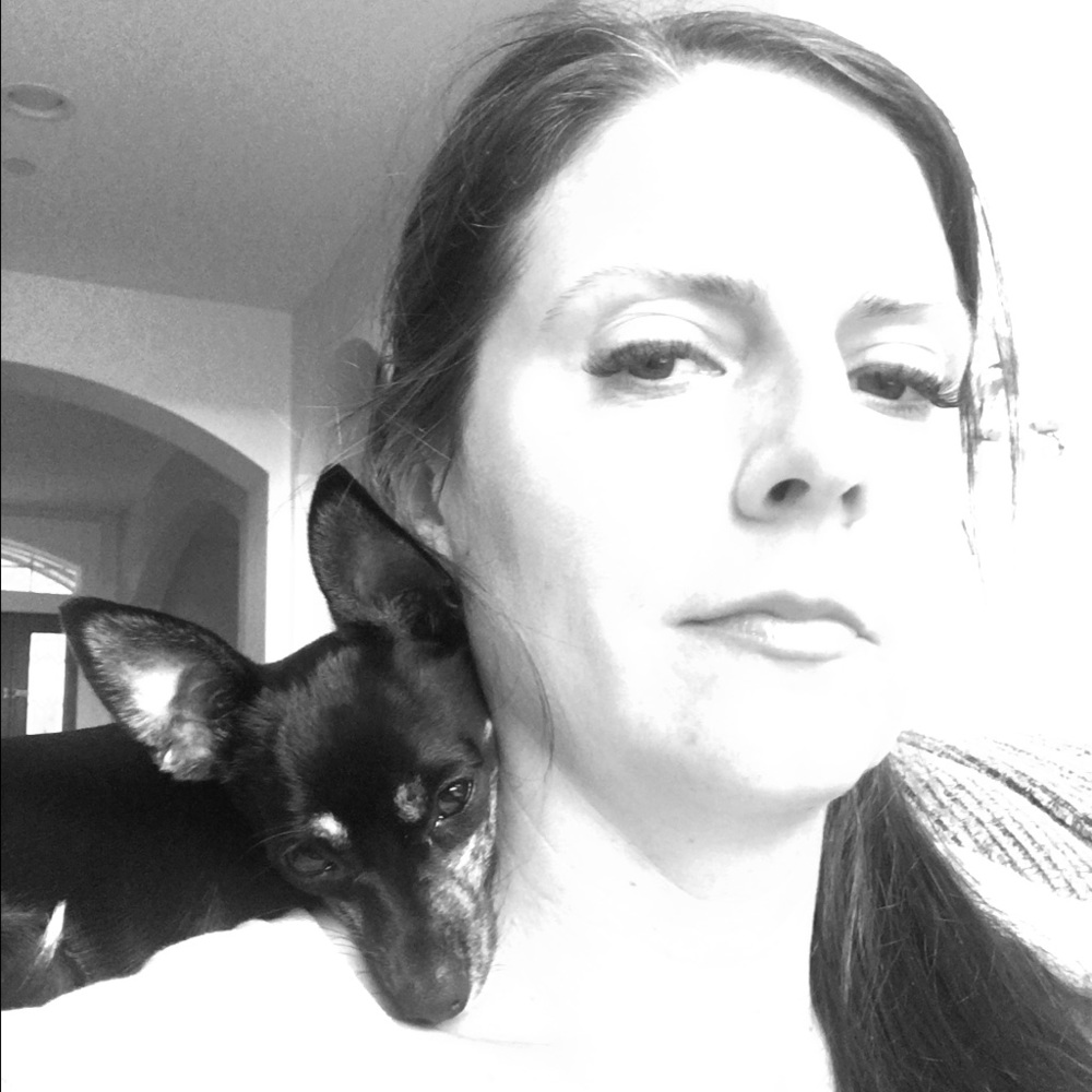 Meet your Posher, Darcy