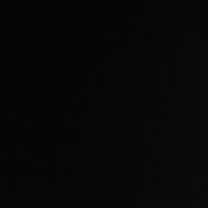 Meet your Posher, Lizzy