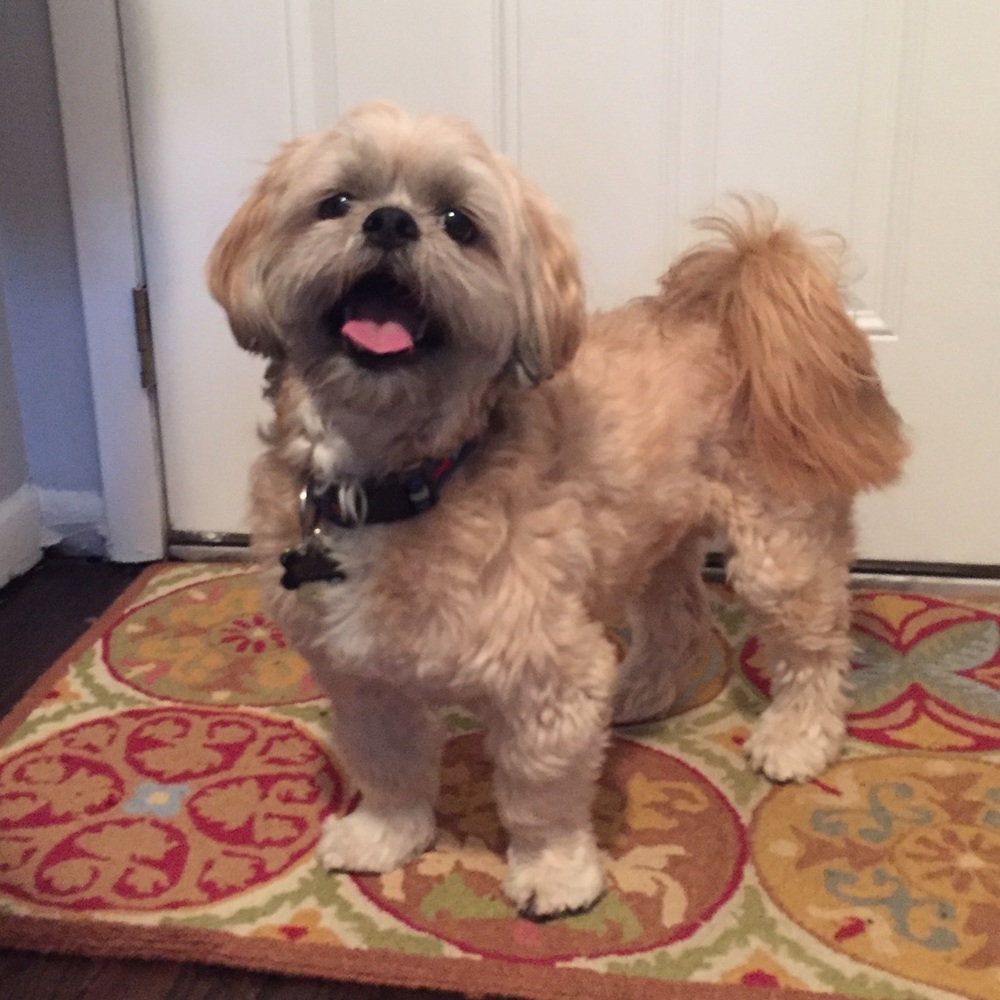 Meet your Posher, Tiffany