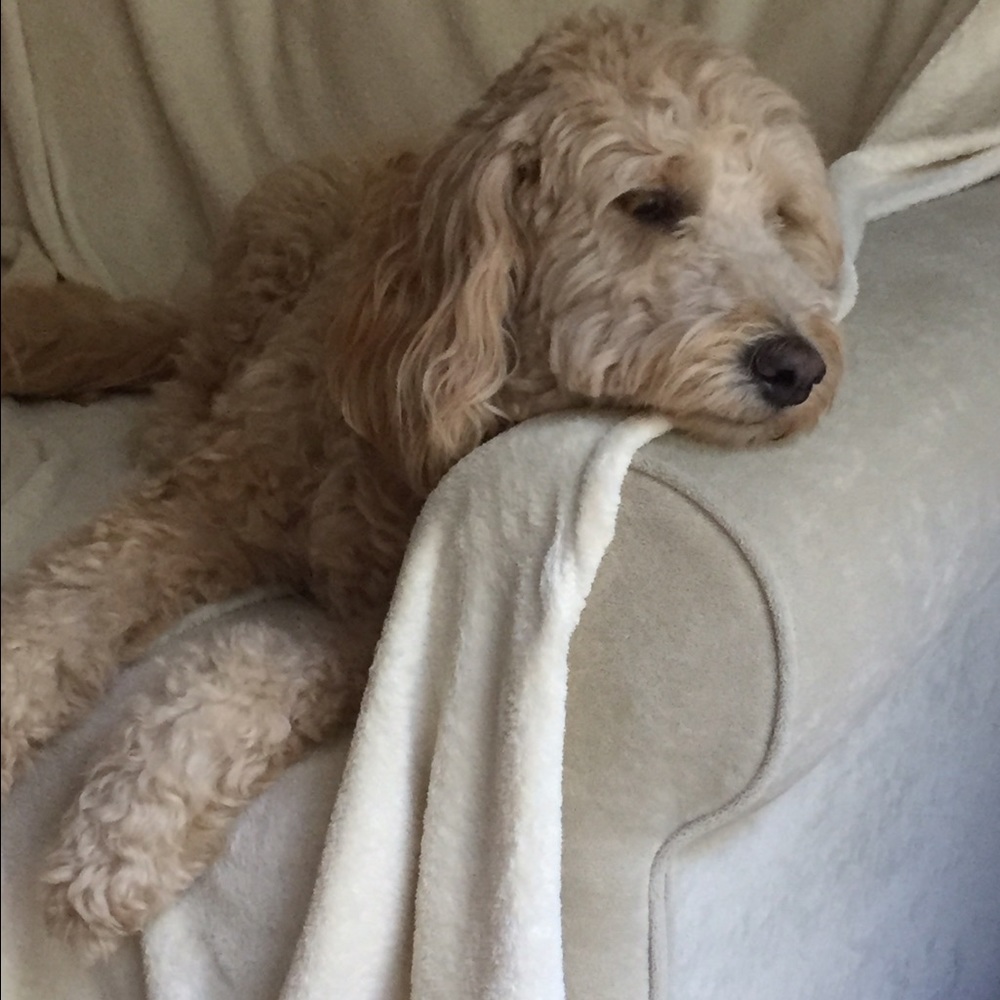 Meet your Posher, Scott