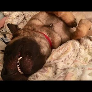 Meet your Posher, Christy