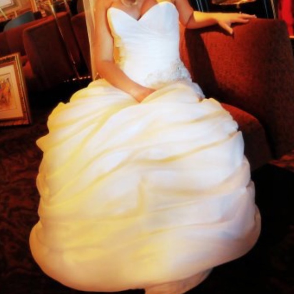 David's Bridal wedding dress