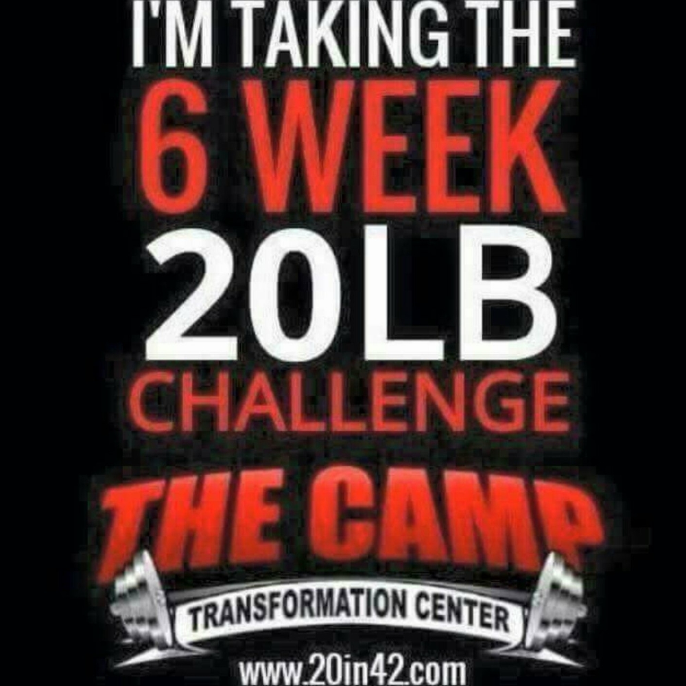 Meet your Posher, Evie