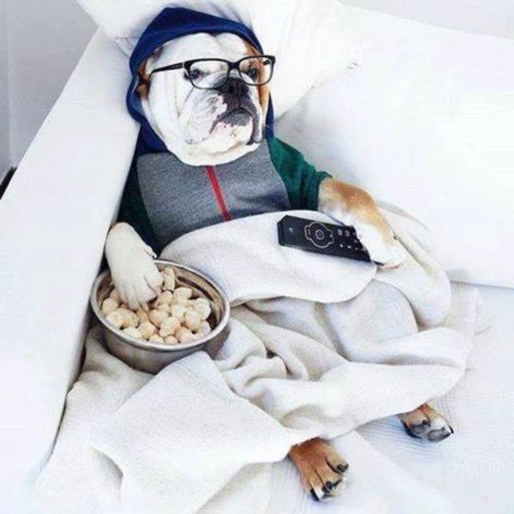 Meet your Posher, Susan