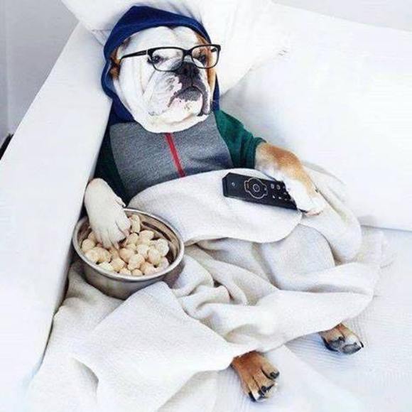 Meet your Posher, Susan - Picture 1 of 1