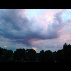 Meet your Posher, Adele