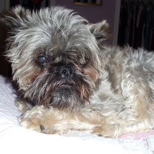 Meet your Posher, Lin