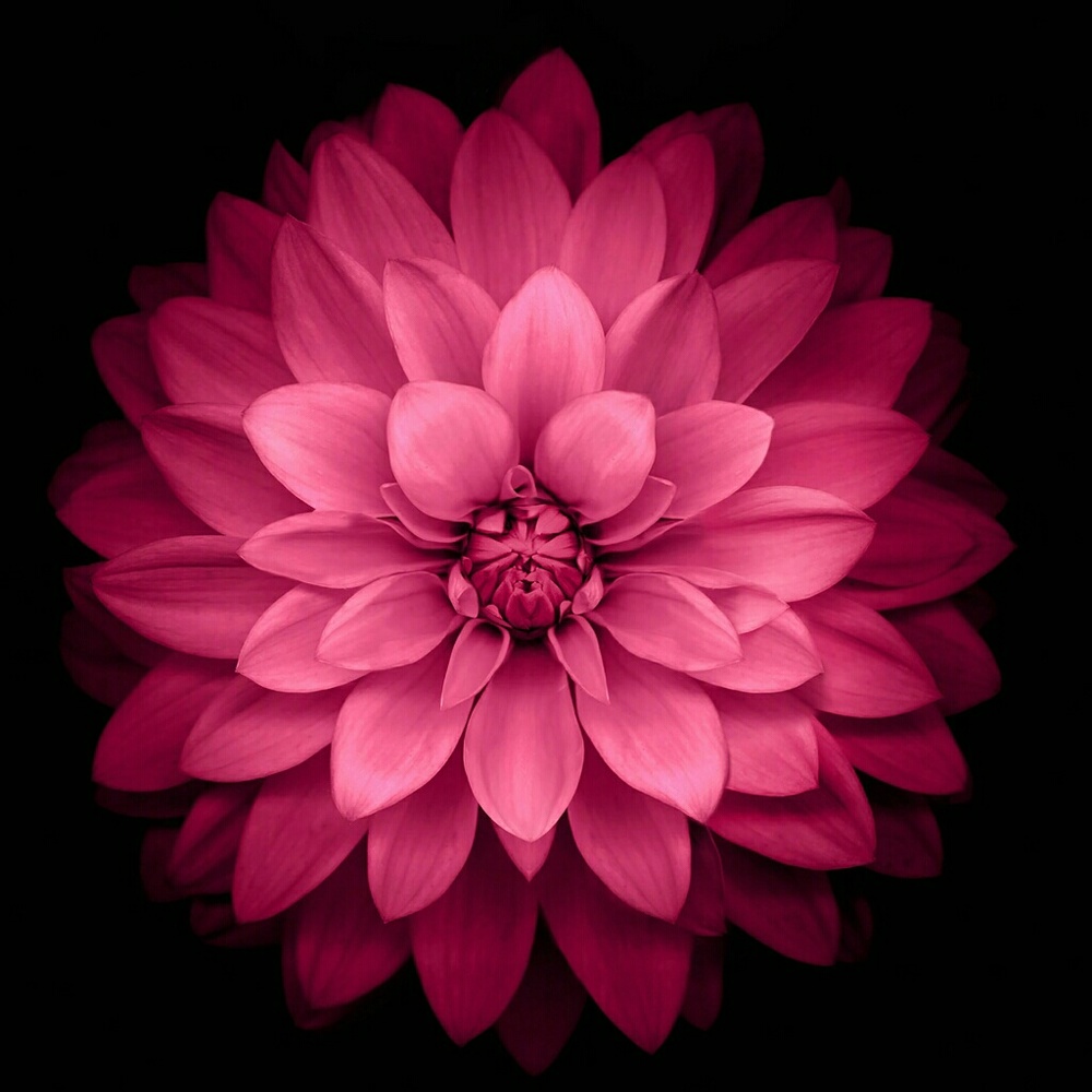 Meet your Posher, Wendi