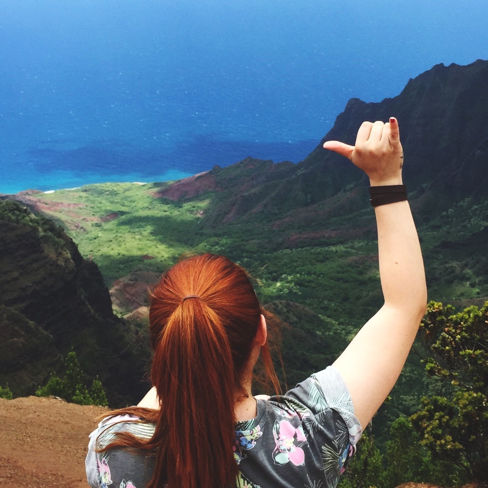 Meet your Posher, Arena