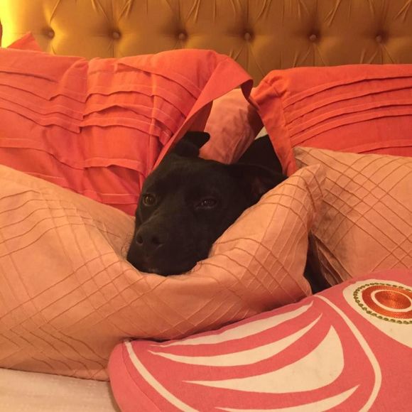 Meet your Posher, Andrea - Picture 2 of 9