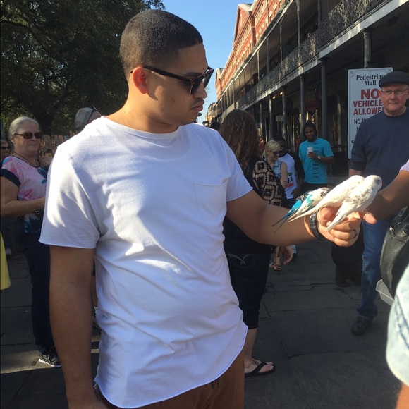 Meet your Posher, Michael - Picture 1 of 1