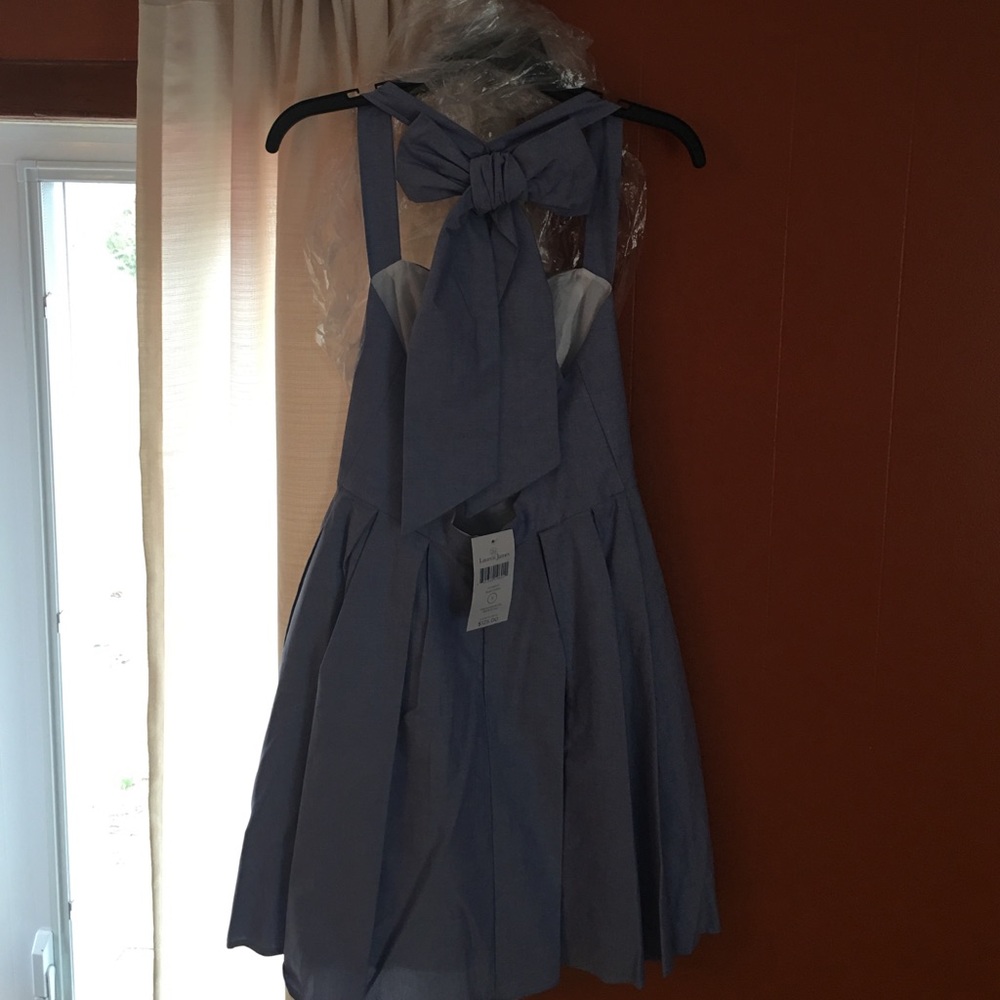 Lauren James Livingston Royal Oxford Dress! 🎀