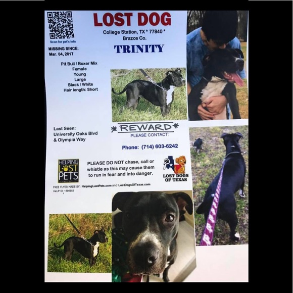 Meet your Posher, Helen Brianna - Picture 3 of 17