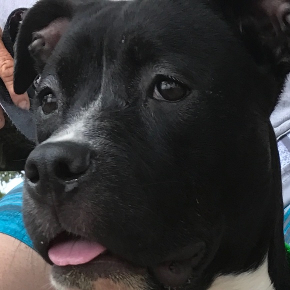 Meet your Posher, Helen Brianna - Picture 6 of 17