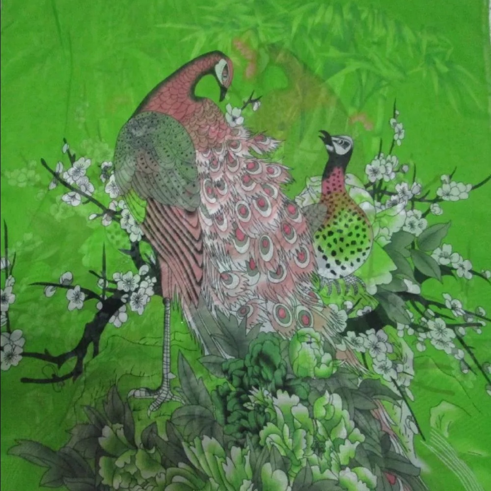 Beautiful long chiffon lady women scarve wrap