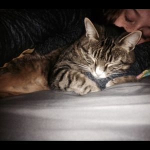 Meet your Posher, Faye