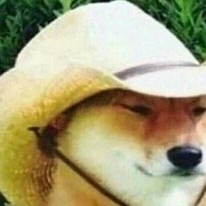 Meet your Posher, Isaac