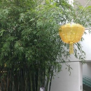 Meet your Posher, Alice