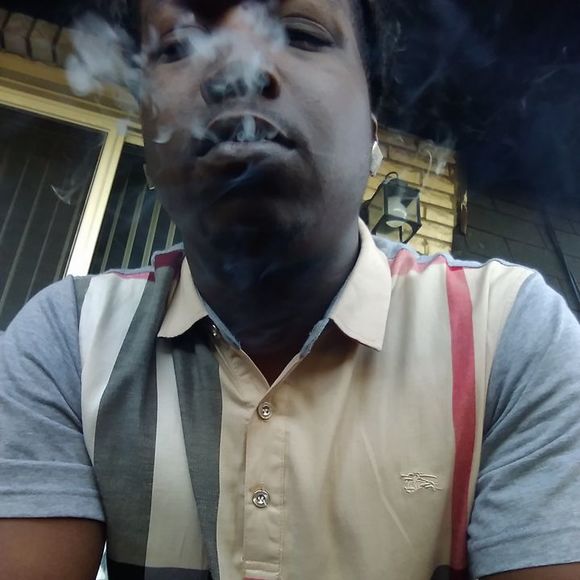 Meet your Posher, Duke - Picture 1 of 1