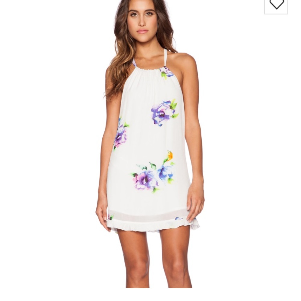 Revolve x Winston White Pica Mini Dress