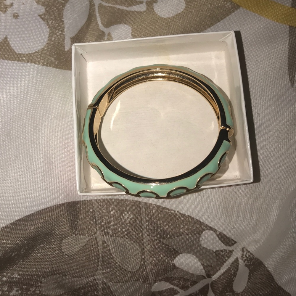 Premier Designs Pistachio Bracelet