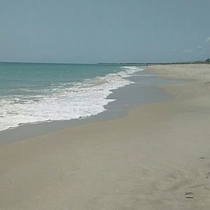 Meet your Posher, Noah