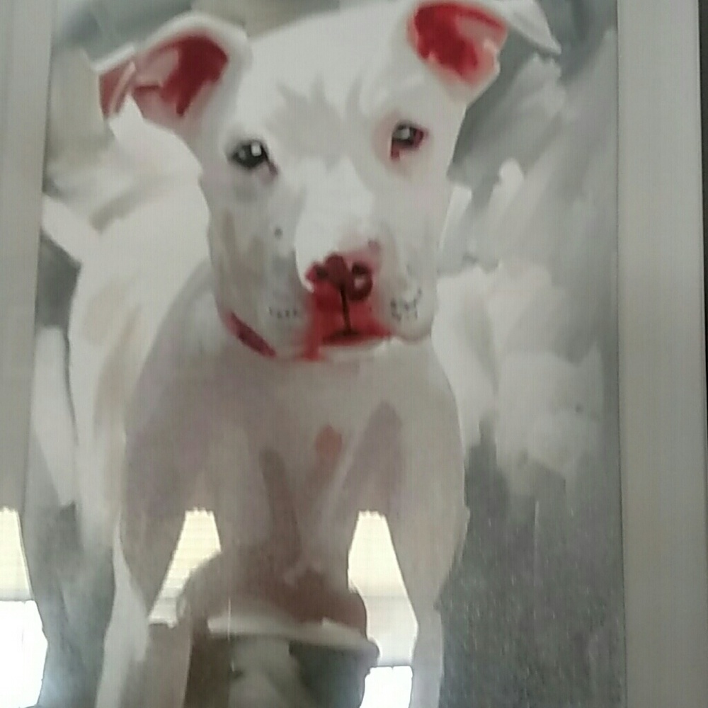 Meet your Posher, Patty