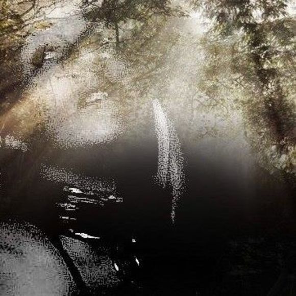 Meet your Posher, Cheyenne - Picture 1 of 1