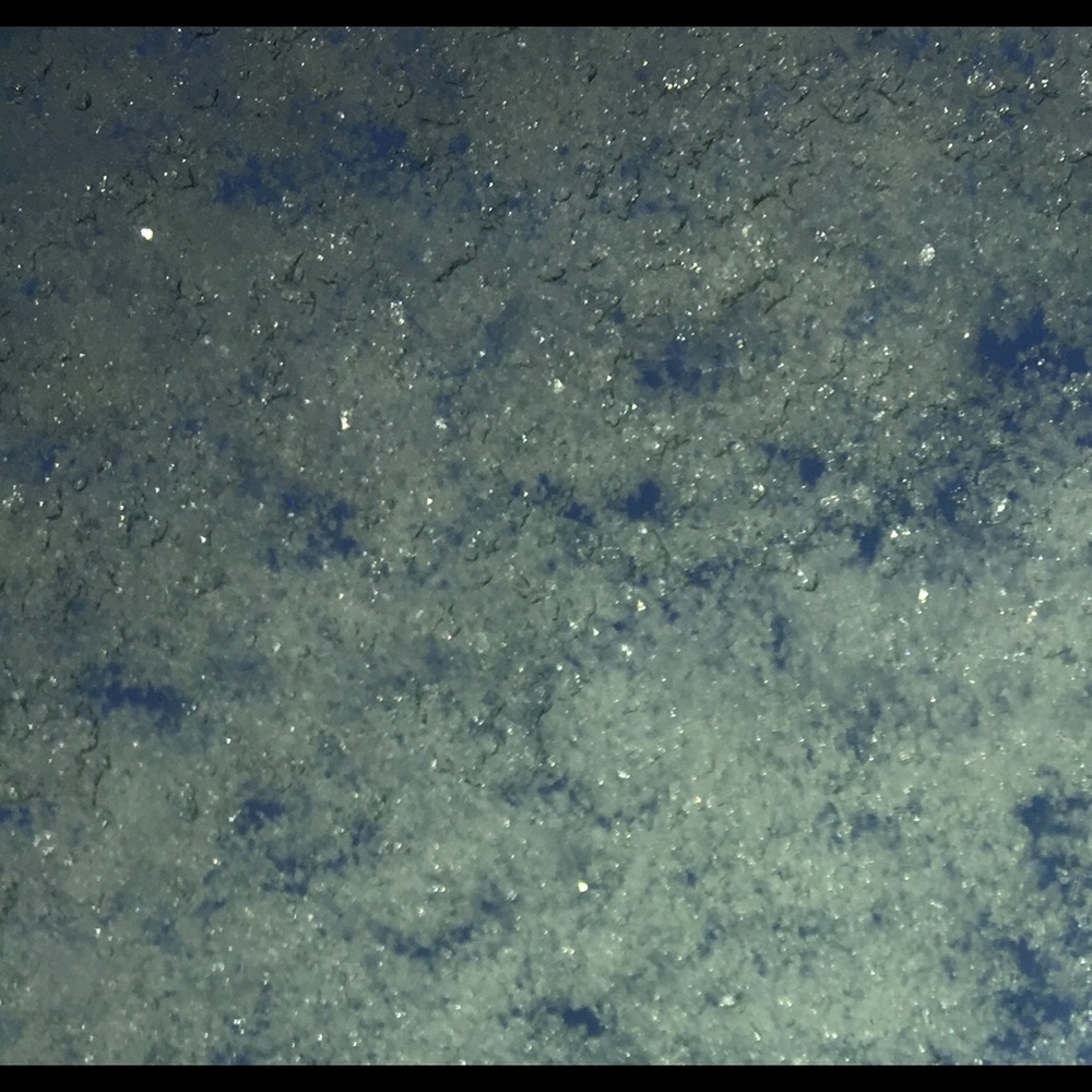 Meet your Posher, Sabrina