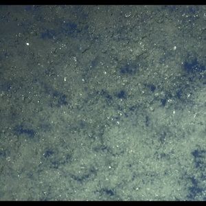 Meet your Posher, Sabrina