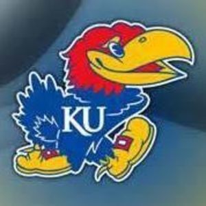 Meet your Posher, Rita