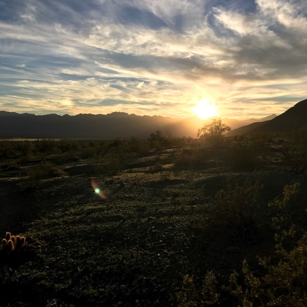 Meet your Posher, Bryan