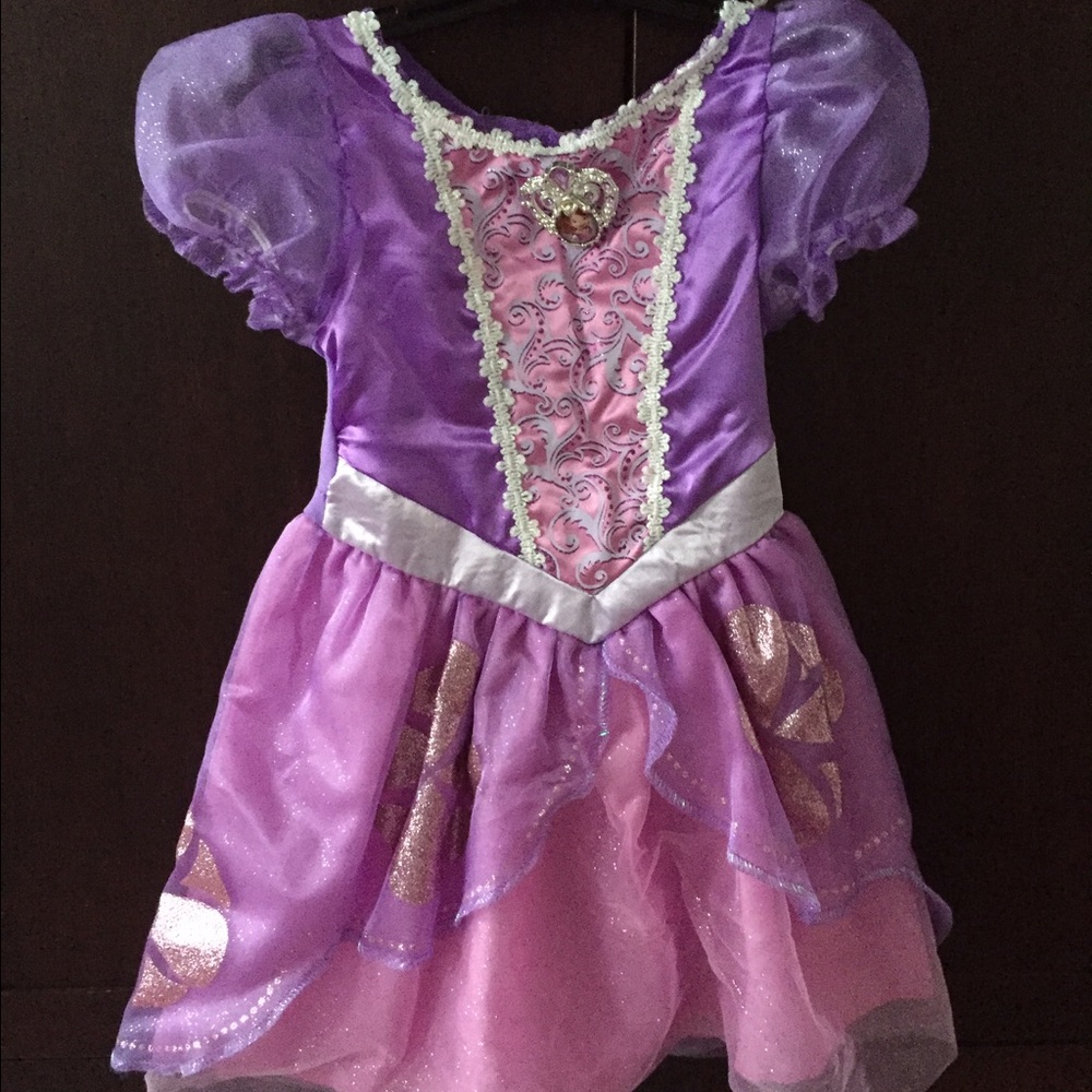 Princess Sofia costume